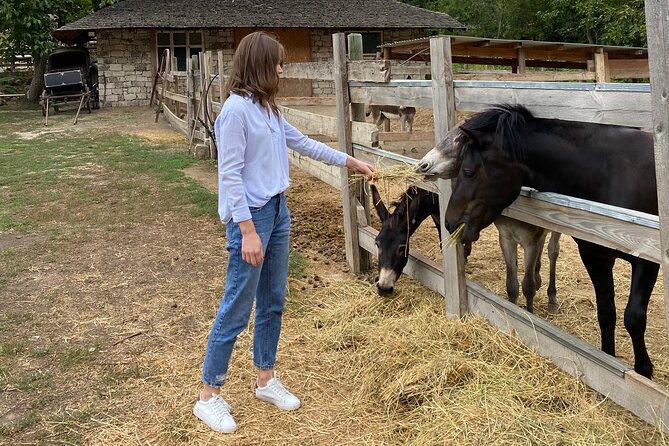 Half-Day Private Guided Tour of Orheiul Vechi and a Farmhouse - Visiting Butuceni and Ferma Veche