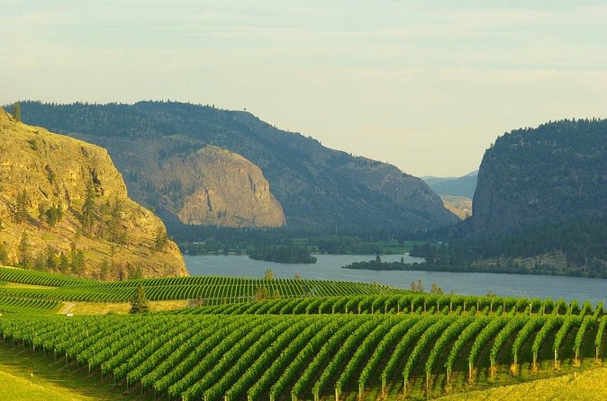 Half-Day Private Lake Country Wine Tour from Kelowna - Ex Nihilo Vineyards: Focus on Red Wines