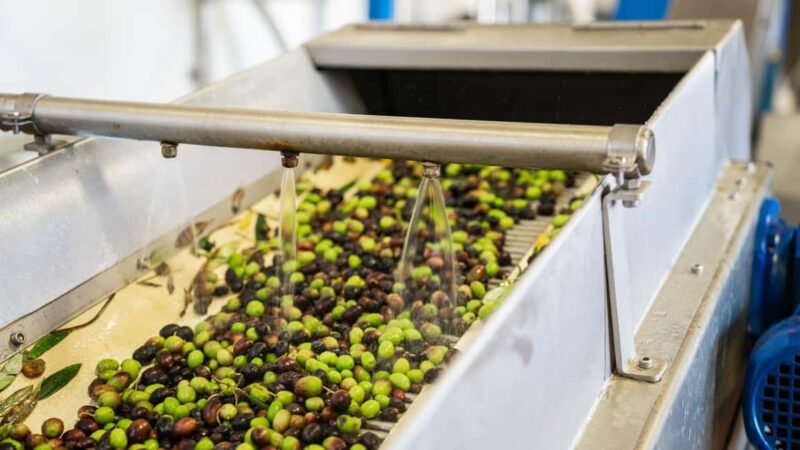 Half-Day Private Local Honey, Olive Oil & Winery Visit - Practical Details and Tips for Participation