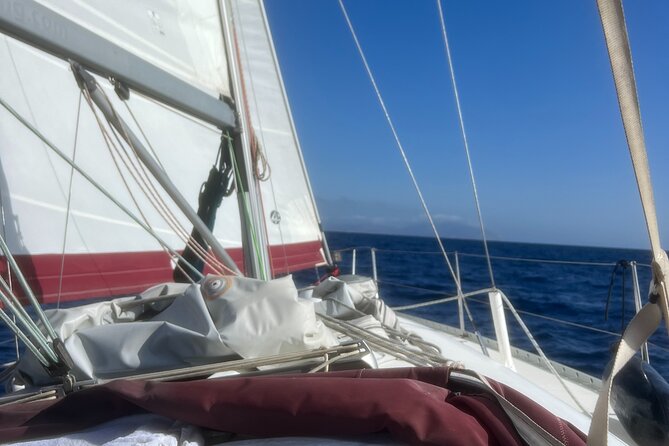 Half day Private Sailing cruise in Santorini island up to 6 pax - Exploring Thirasia: A Quiet Corner of the Aegean