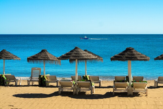 Half-Day Private Taxi Tour to Malaga Historic Center - Roman Theatre and the Historic Center