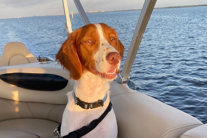 Half-Day Private Tiki Boat Beach Tour from Fort Myers - Wildlife Sightings and Marine Encounters