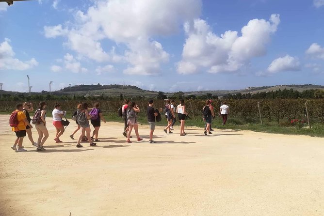 Half Day Private Tour Around Malta - Comfort and Convenience Throughout the Tour