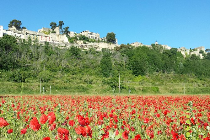 Half day private tour for 2-3 person - Discover the Personal Touch of a Private Provence Tour at $472.48 for Up to 3 People