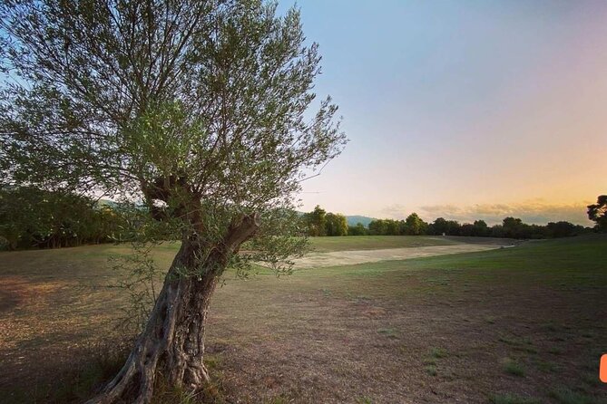 Half-Day Private Tour from Katakolon to Olympia by : Nassos - Convenient Pickup and Comfortable Transport in Katakolon