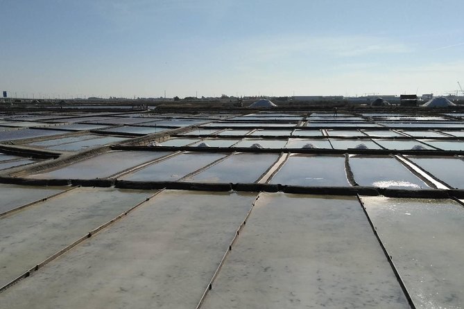 Half-Day Private Tour in Aveiro and Costa Nova - Starting Point and Transport Logistics in Porto