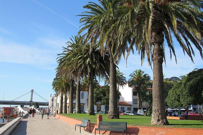 Half-Day Private Tour in Aveiro and Costa Nova - What’s Included and What’s Not
