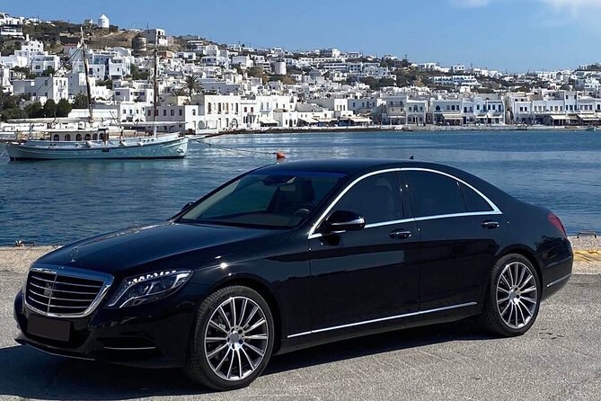 Half Day Private Tour in Mykonos Island with Local Experts - Enjoying the Long Stretch of Elia Beach