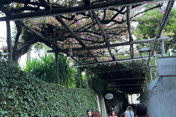 Half Day Private Tour in Positano - Key Points