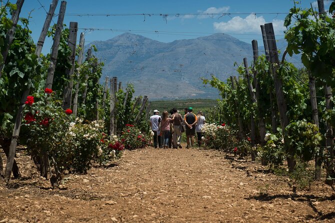 Half-Day Private Tour in Two Wineries and Archanes from Heraklion - Practical Details: Logistics and Comfort