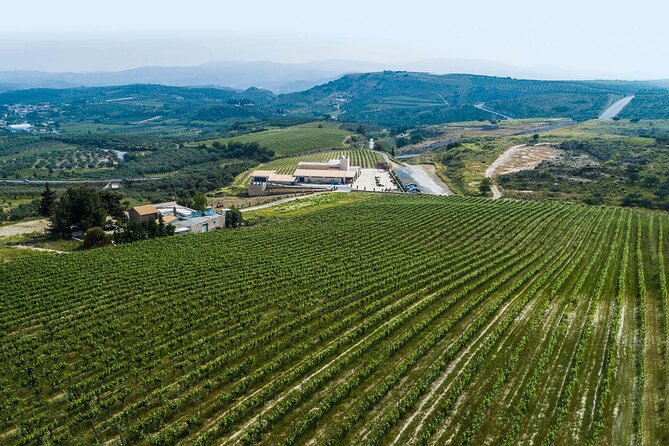 Half-Day Private Tour in Two Wineries and Archanes from Heraklion - Cultural Highlights in Archanes Village