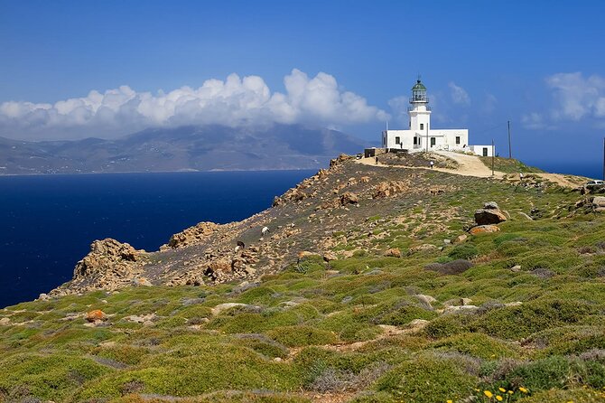 Half Day Private Tour Island with a Local in Mykonos - Southward Beaches and Mykonos Town Viewpoints