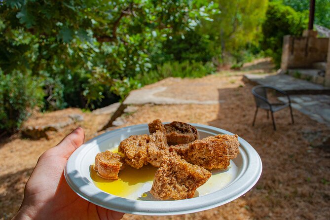 Half-Day Private Tour & Picnic in Real Cretan Countryside Retreat - Explore the Authentic Cretan Countryside with a Private Guide