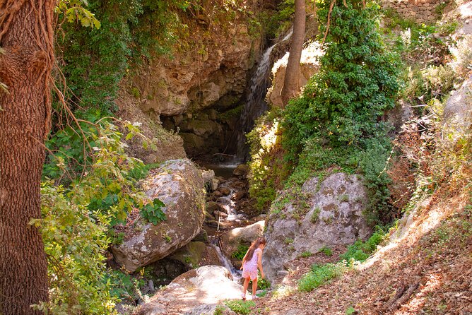 Half-Day Private Tour & Picnic in Real Cretan Countryside Retreat - What’s Included and What to Keep in Mind