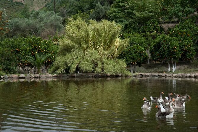 Half Day Private Tour to Botanical Garden in Chania - Practical Tips for Your Visit