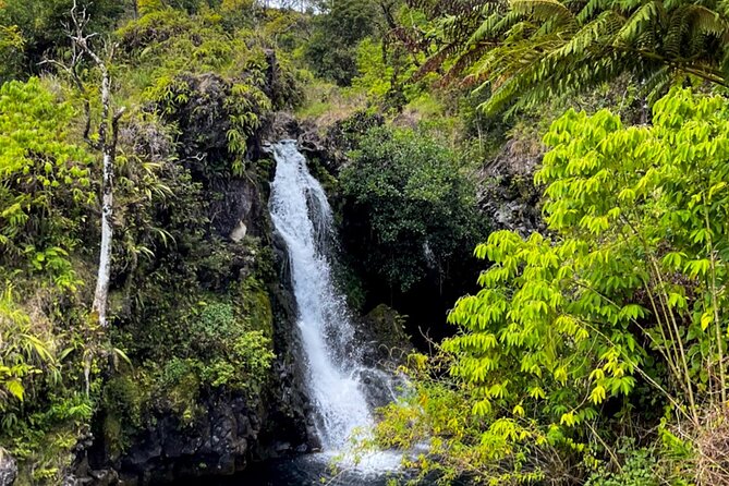 Half Day Private VIP Road to Hana Tour - The Benefits of a Private, Flexibly Scheduled Tour