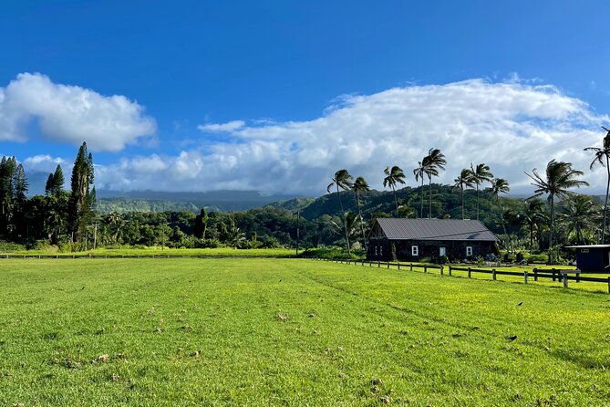 Half Day Private VIP Road to Hana Tour - Overall Value and Suitability