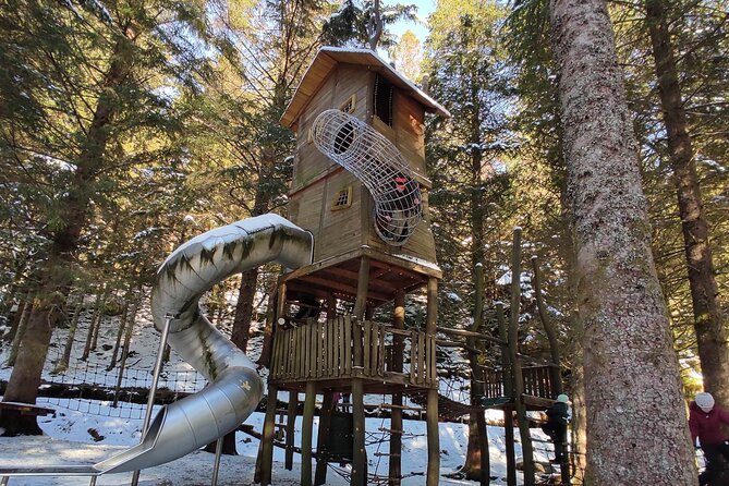 Half-Day Private Walking Tour in Bergen with Dinner and Funicular - Key Points