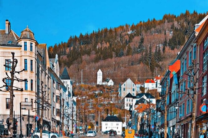 Half-Day Private Walking Tour in Bergen with Dinner and Funicular - Mount Floyen and the Funicular Adventure