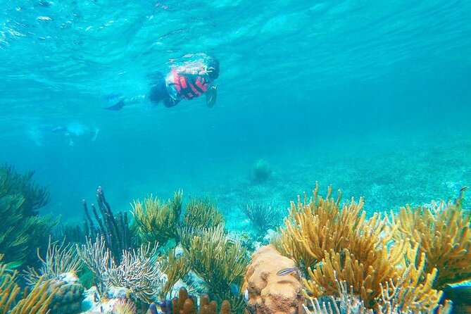 Half-Day Puerto Morelos Snorkeling Experience with Lunch - Lunch on the Beach and Local Atmosphere