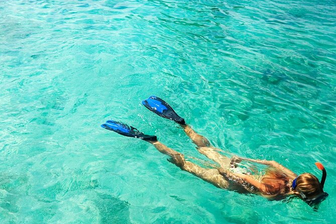 Half-Day Puerto Morelos Snorkeling Experience with Lunch - The Guides Role and Guest Experience