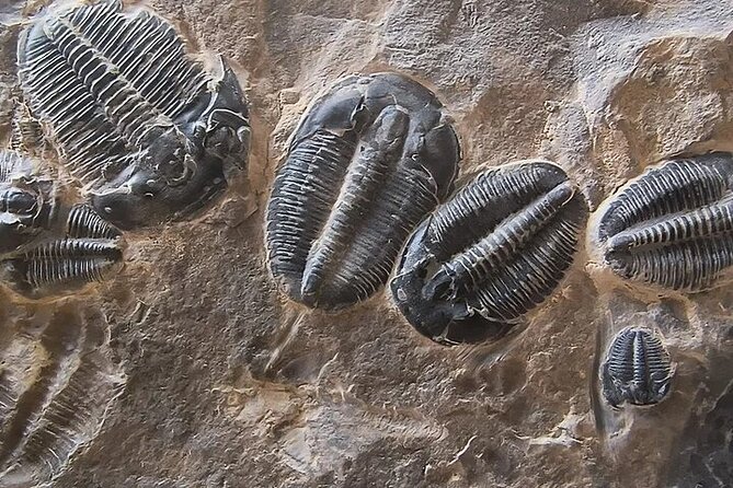 Half Day Quarry Access - Key Points