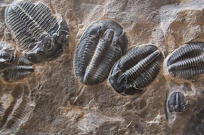 Half Day Quarry Access - Group Size and Meeting Details