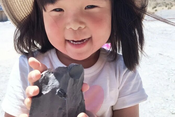 Half Day Quarry Access - The Value of This Fossil Dig Experience