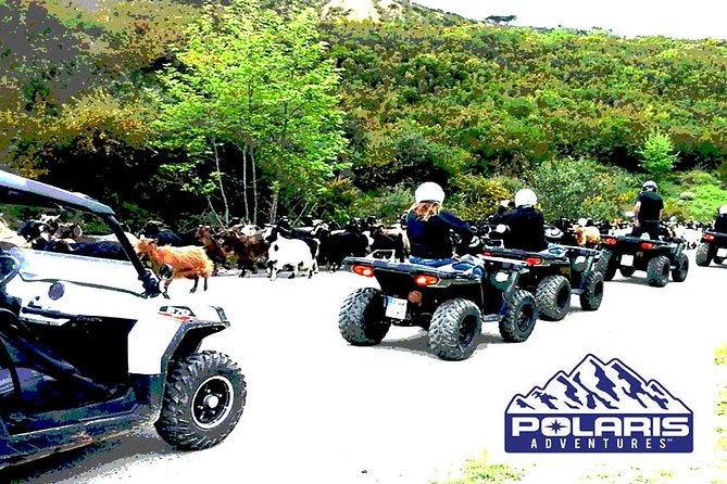 Half-Day Rethymno Quad Safari - Off-Road Adventures on Crete’s Diverse Terrain