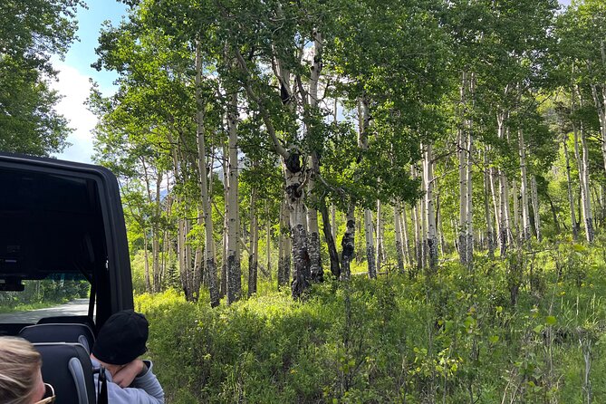 Half-Day Retractable Glass Top Tour in Rocky Mtn National Park - Discover the Rocky Mountains in a Unique Glass-Top Vehicle