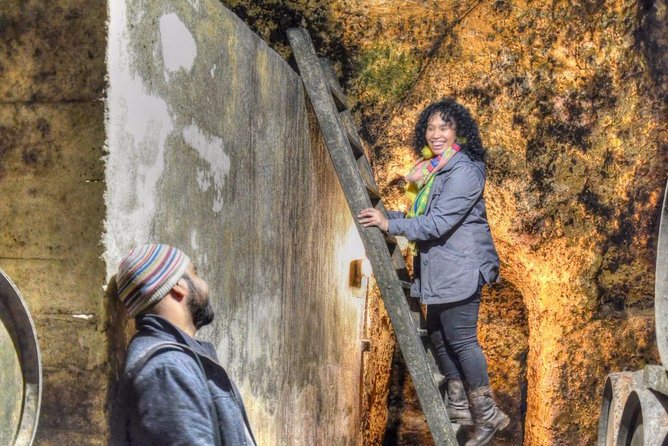 Half Day Rioja Wine Tour - Discovering Rioja Alta and Rioja Alavesa