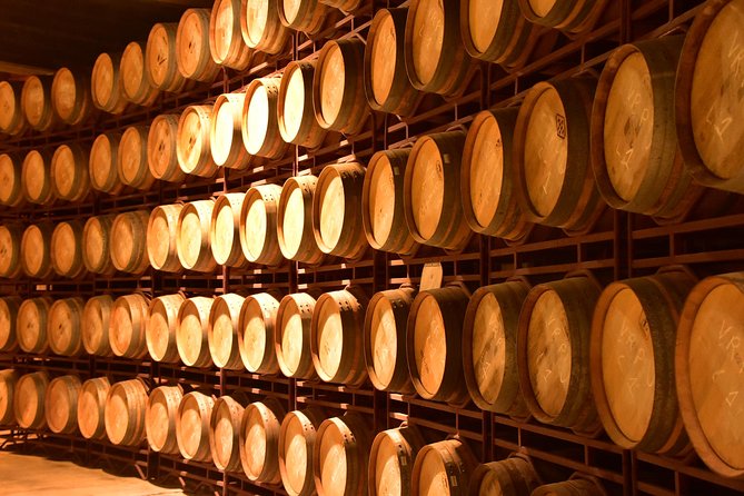 Half Day Rioja Wine Tour - The Taste of Rioja: Exclusive Wine Selections