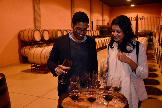 Half Day Rioja Wine Tour - Practical Details and Booking Tips