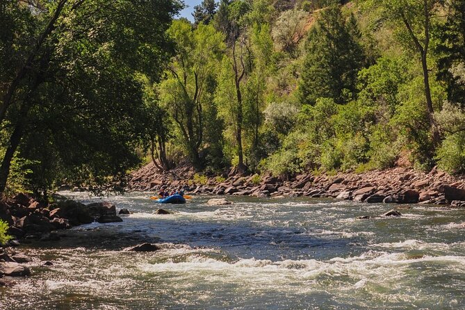 Half Day Roaring Fork Rafting - The Pacing and Tour Experience