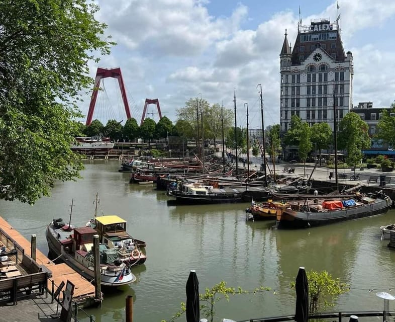 Half-Day Rotterdam and The Hague Private Tour - Discovering Rotterdam’s Architectural Marvels