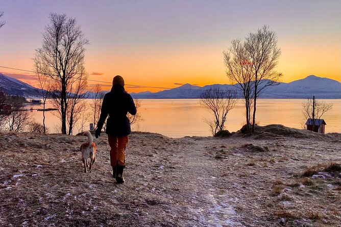 Half-Day Scenic Wildlife & Photographic Fjord Tour. - The Scenic Stops and the Winter Light