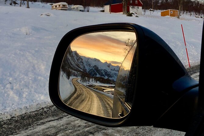 Half-Day Scenic Wildlife & Photographic Fjord Tour. - Weather Considerations and Cancellation Policy