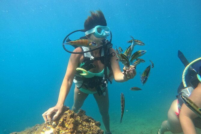 Half Day Scuba Diving @ Duden Waterfalls - Practical Details: Meeting Point and Booking