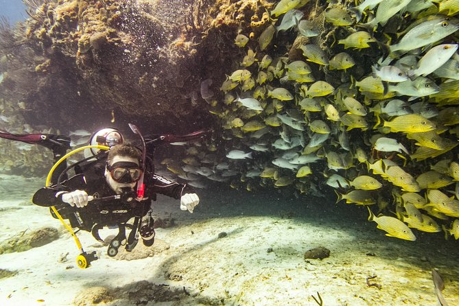 Half-Day Scuba Diving in Playa del Carmen for Small-Group - Dive Content and Reef Locations