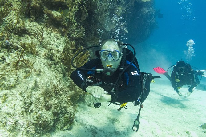 Half-Day Scuba Diving in Playa del Carmen for Small-Group - The Role of the Guides and Their Expertise