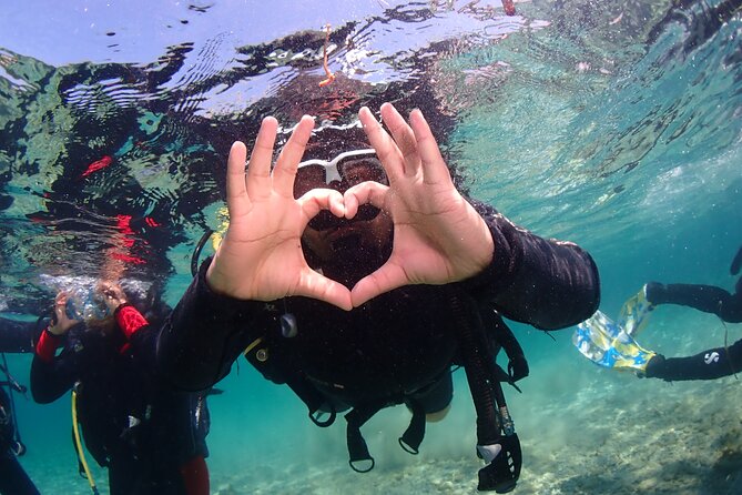 Half-Day Scuba Diving Tour - Discover Scuba Diving! - Key Points