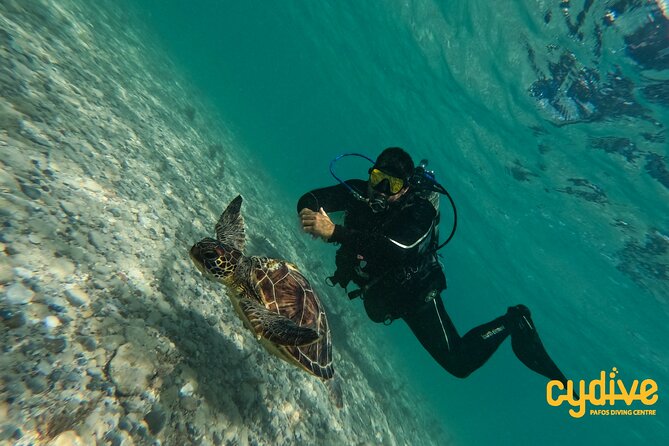 Half-Day Scuba Diving Tour - Discover Scuba Diving! - Comprehensive Pre-Dive Briefing and Pool Practice