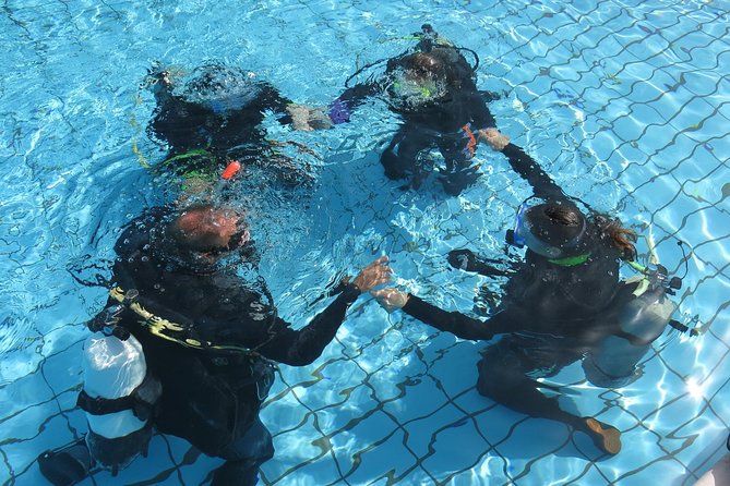 Half-Day Scuba Diving Tour - Discover Scuba Diving! - Marine Life and Underwater Highlights