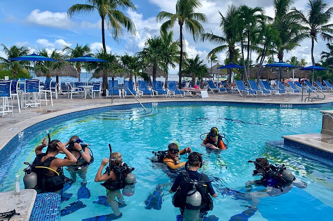 Half Day Scuba Diving Trip in the Florida Keys - Why This Tour Excels for Certified Divers