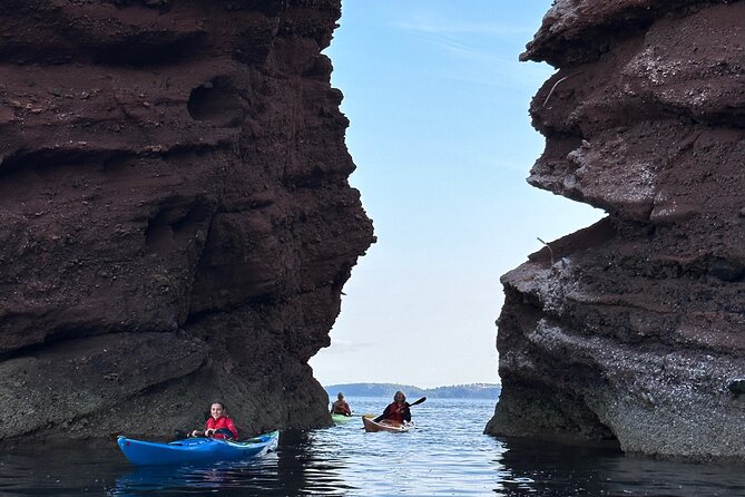 Half Day Sea kayak Guided Tour - The Experience of Paddling in Devons Coastline