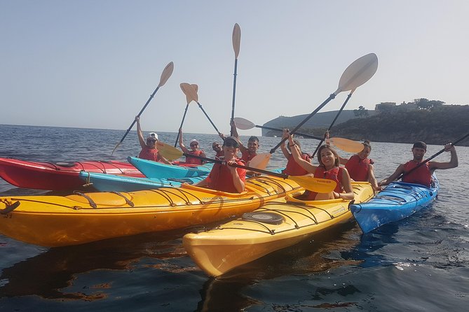 Half Day Sea Kayak Trip - Meeting Point and Logistics in Alghero