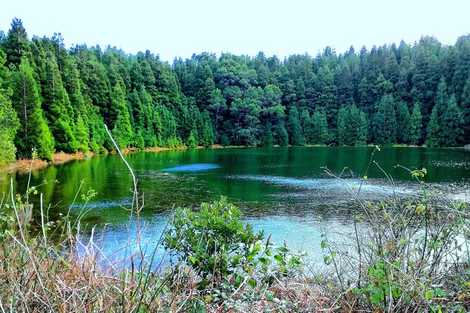 Half Day Sete Cidades Crater Minivan Tour - Viewing the Twin Lakes from Multiple Angles