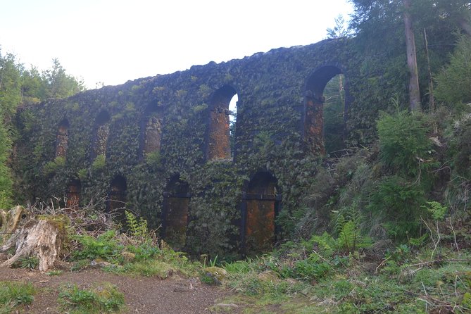 Half Day Sete Cidades (West side of the Island) - Discovering the Iconic Vista do Rei (King’s View)