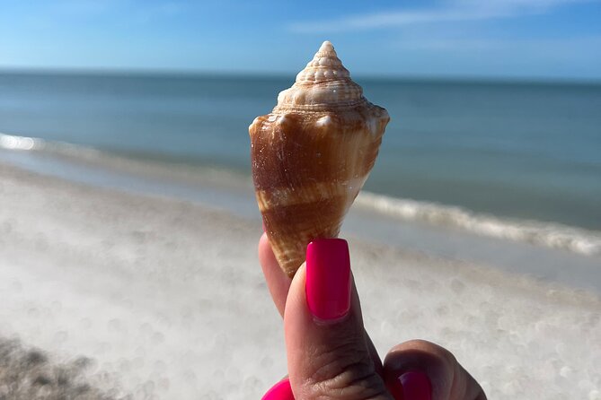 Half Day Shelling Dolphin Eco Tour in 10 000 Island and Marco - Practical Details: Meeting Point and Booking Tips