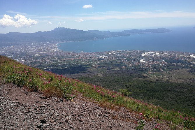 Half day shore excursion to Mount Vesuvius (2 hours) - Key Points
